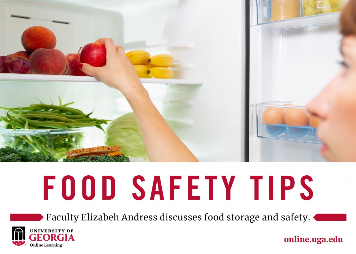 Leftover Food Safety