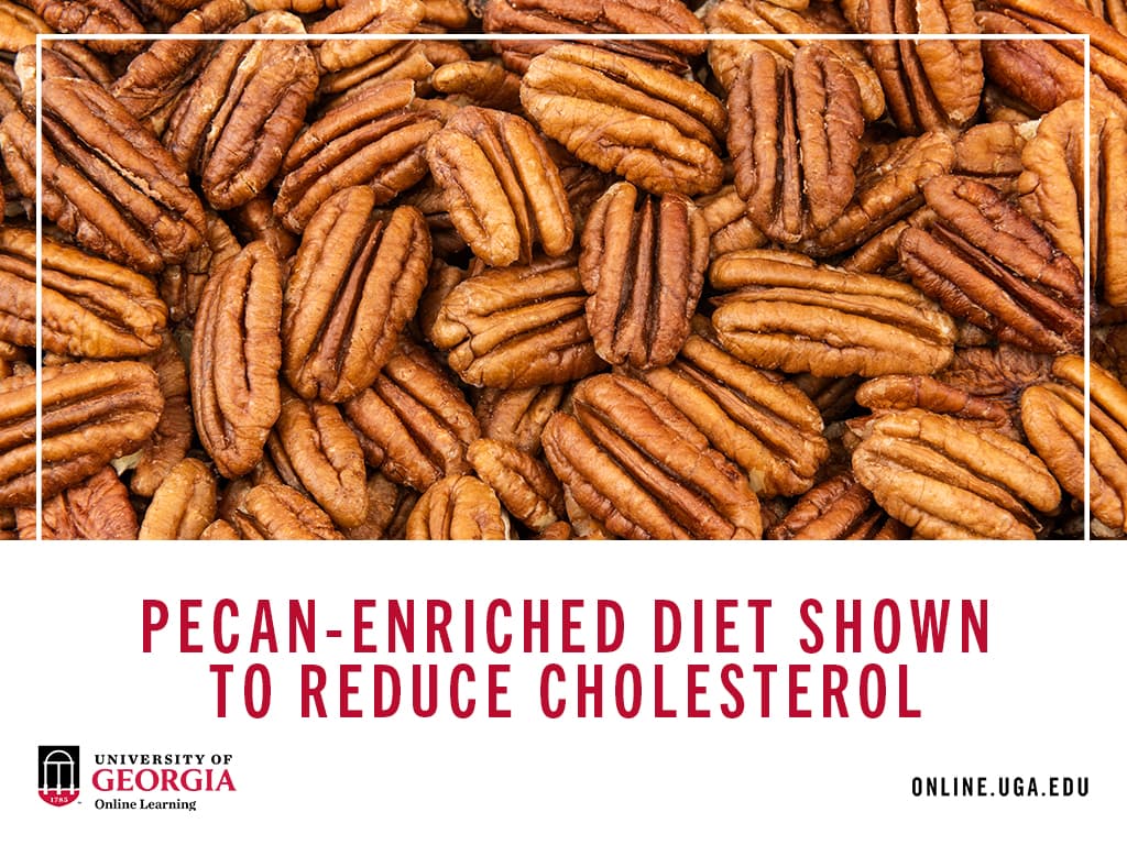 Pecan-Enriched Diet Shown to Reduce Cholesterol