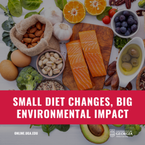 Graphic displaying healthy foods and the article title "Small Diet Changes, Big Environmental Impact"