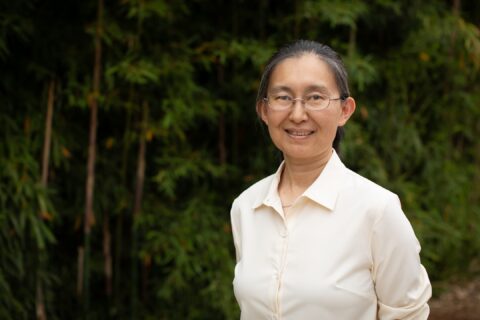 Tianyi Zhang Ulyshen
