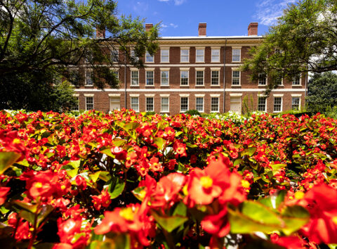 Old College summer flowers