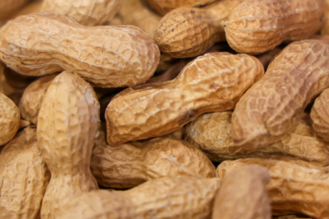 Pile of peanuts