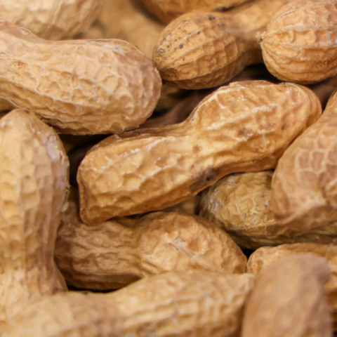 Pile of peanuts