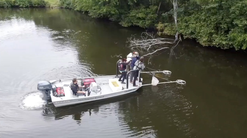 UGA Online staff record footage for an online Master of Natural Resources course while on a boat, on a lake.